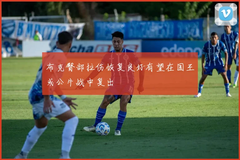 布克臀部拉伤恢复良好有望在国王或公牛战中复出