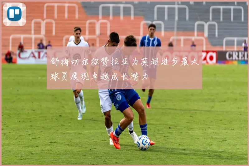 舒梅切尔称赞拉亚为英超进步最大球员展现卓越成长潜力